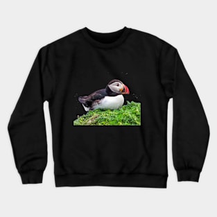 Puffin Crewneck Sweatshirt